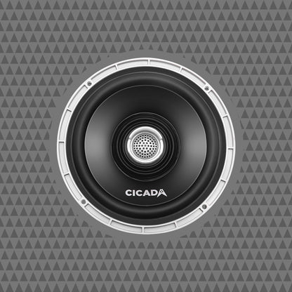 CX65.2