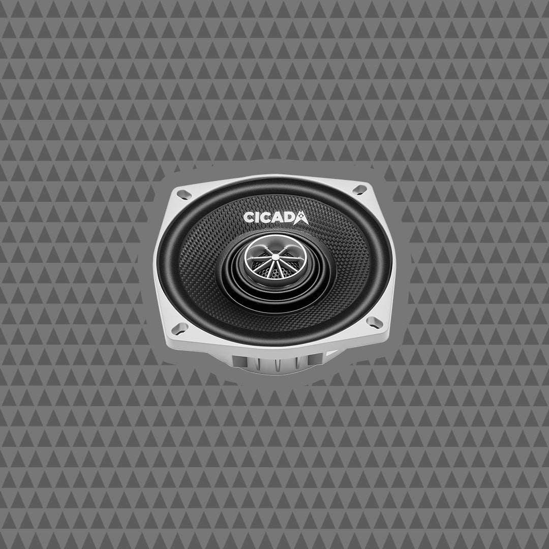 CXX4.2